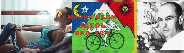 марки lsd Бородино