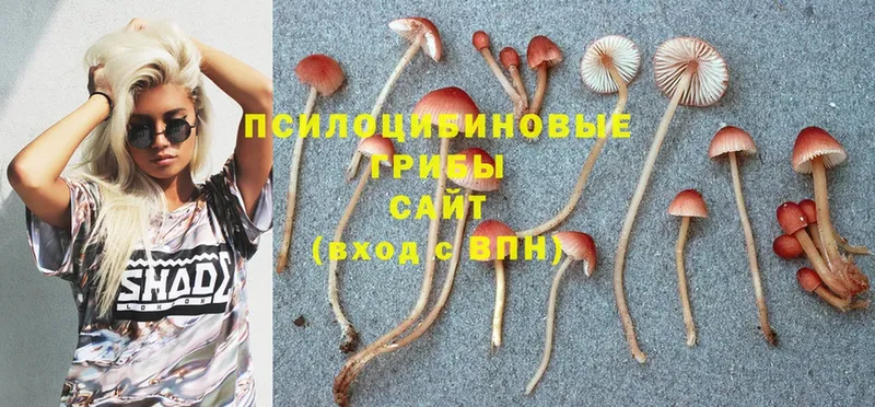 МЕГА маркетплейс  дарк нет телеграм  Галлюциногенные грибы Magic Shrooms  Куйбышев 